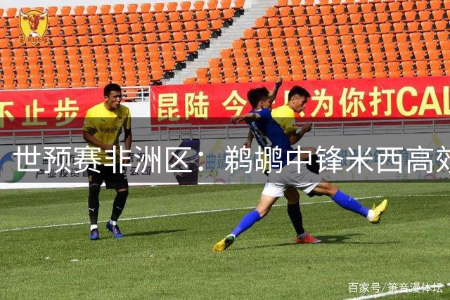 世预赛非洲区：鹈鹕中锋米西高效贡献19+14率队大胜