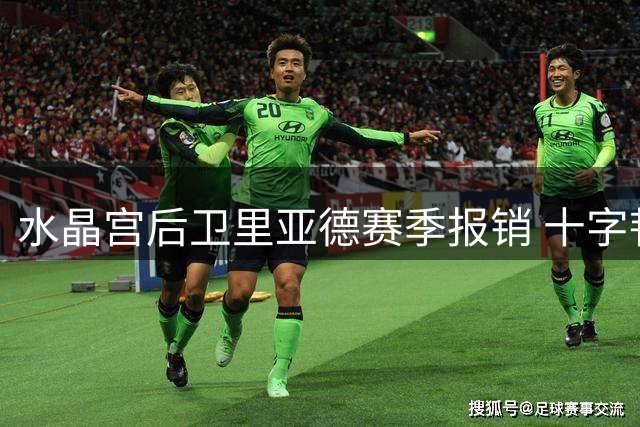 水晶宫后卫里亚德赛季报销 十字韧带伤势再袭